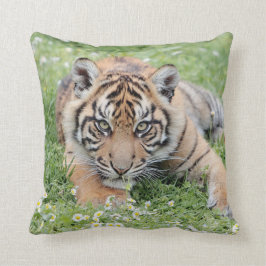 写真虎、動物0287。 クッション