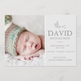 写真誕生の告知|鳥のアナウンサー 案内状