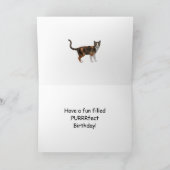 写真誕生日の猫よくはしゃぐカード カード (内部)