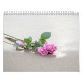 写真集 カレンダー (カバー)