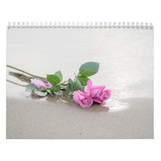 写真集 カレンダー (カバー)