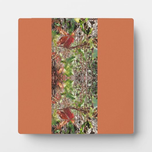 写真離れの秋 フォトプラーク (正面)