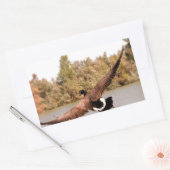 写真飛んでいるを撮る 長方形シール (封筒)