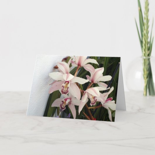 写真003 カード (正面)