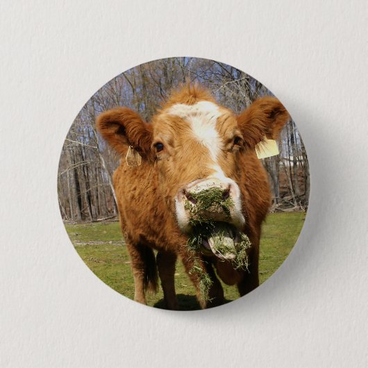 写真01 缶バッジ (正面)