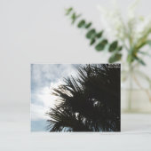 写真150、フォトアーティスト：シルバー・コリンズ ポストカード (スタンド正面)