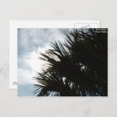 写真150、フォトアーティスト：シルバー・コリンズ ポストカード (正面/裏面)