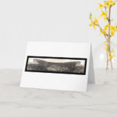 写真1911年上のエールハーバードゲーム カード (黄色い花)