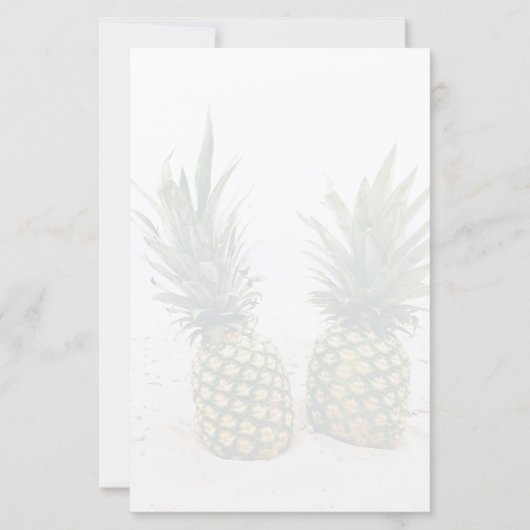 写真2パイナップルのビーチ (正面)