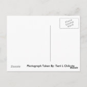 写真20 ポストカード (裏面)