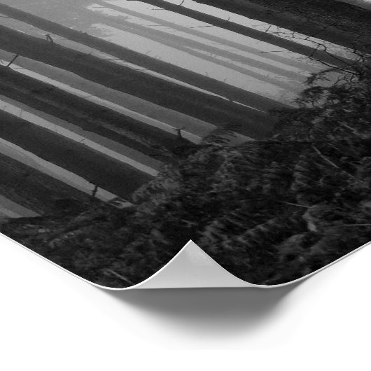 写真26 ポスター (角)