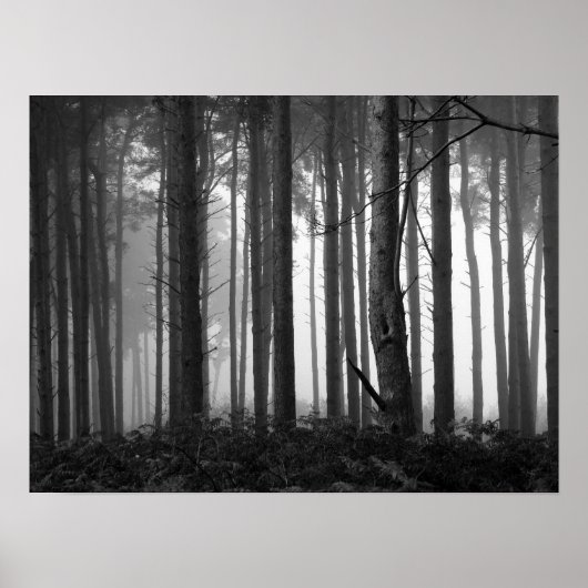 写真26 ポスター (正面)