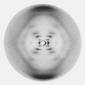 写真51 by Rosalind Franklin | DNAステッカー ラウンドシール