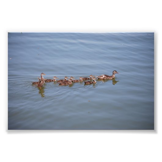 写真6x4コダック紙 フォトプリント            (正面)