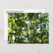 《写真》ぼけ味春 ポストカード (正面/裏面)