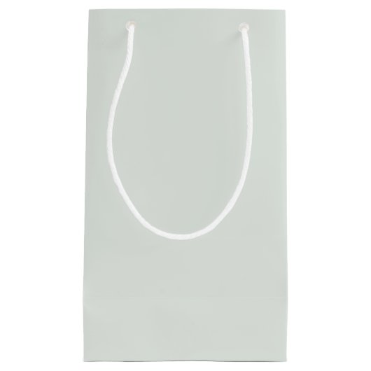 《写真》ぼけ味淡い色のフォレストグリーン スモールペーパーバッグ (正面)