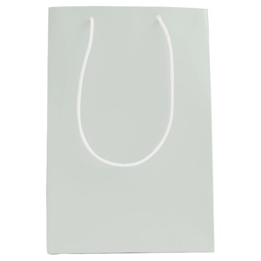 《写真》ぼけ味淡い色のフォレストグリーン ミディアムペーパーバッグ (正面)