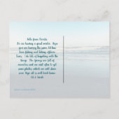 写真・オブ・シーシェル写真はがき ポストカード (裏面)