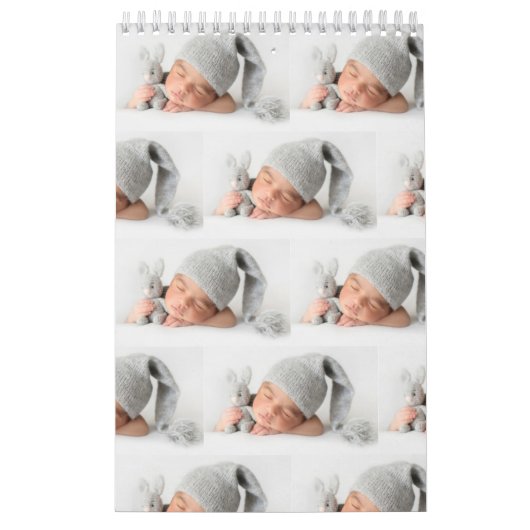 写真 カレンダー (カバー)