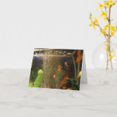 写真 カード (黄色い花)