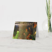 写真 カード (正面)