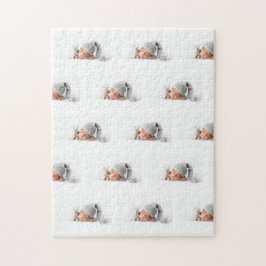 写真 ジグソーパズル