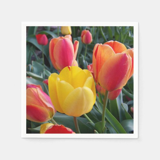 写真 スタンダードカクテルナプキン (正面)