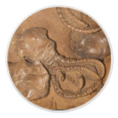 写真 セラミックノブ (正面)