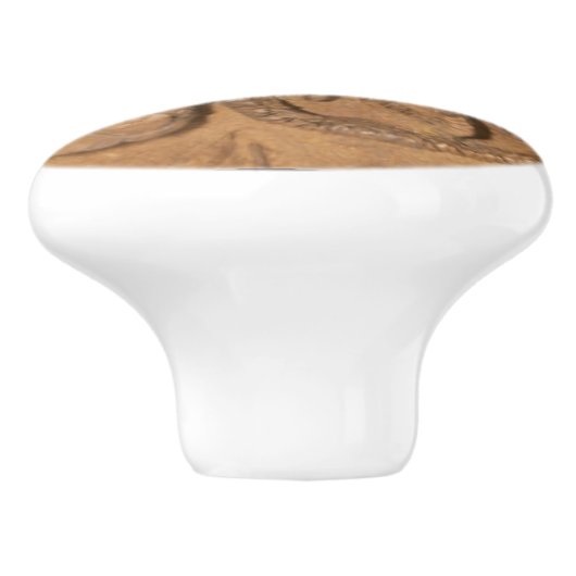 写真 セラミックノブ (側面)