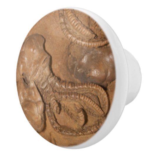 写真 セラミックノブ (右)