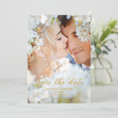 写真 セーブザデート (スタンド正面)