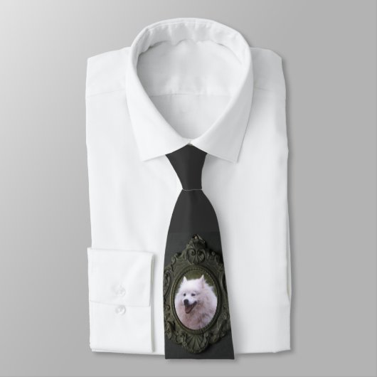 写真 ネクタイ (タイ)