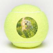 写真・ネーム付き犬のテニスボール テニスボール (正面)