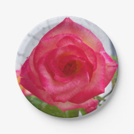 写真:バラの近くの紙プレート ペーパープレート