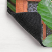 写真 – バリンの木の提灯 マウスパッド (コーナー)