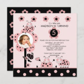 写真 ピンクとブラックのテントウムシ 誕生日招待状 招待状 (正面/裏面)