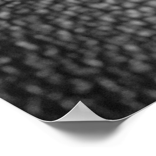 写真 ポスター (角)