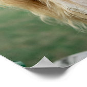 写真 ポスター 肖像 卒業式 結婚式 (角)