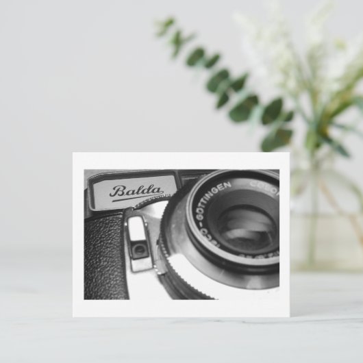 写真 ポストカード (スタンド正面)