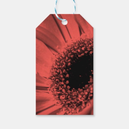 写真、マクロ ギフトタグ (正面)