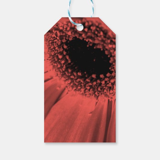 写真、マクロ ギフトタグ (裏面)