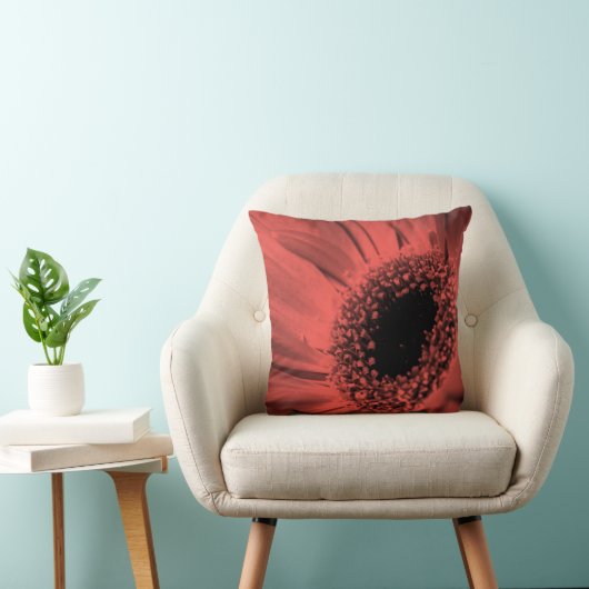 写真、マクロ クッション (椅子)