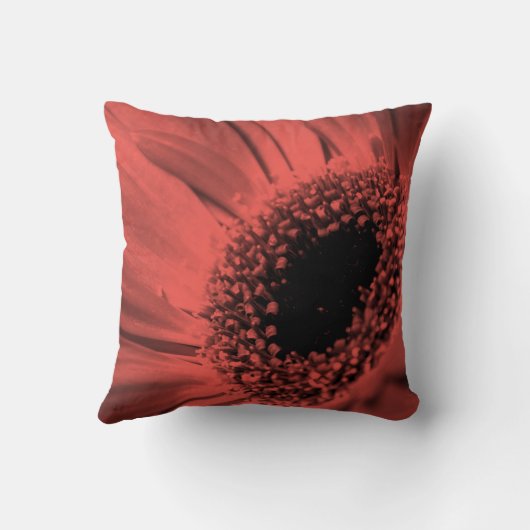 写真、マクロ クッション (裏面)