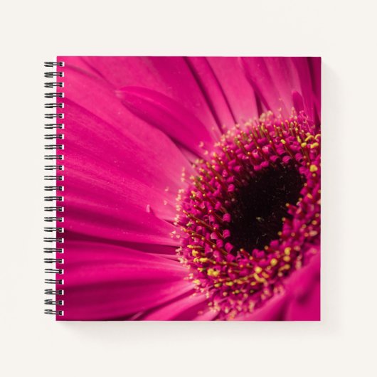 写真、マクロ ノートブック (正面)