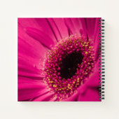 写真、マクロ ノートブック (裏面)