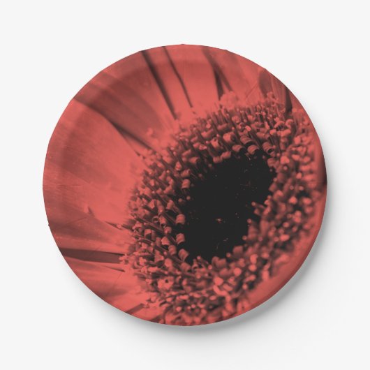 写真、マクロ ペーパープレート (正面)