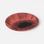 写真、マクロ ペーパープレート (アングル)