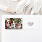 写真 ラベル (インサイチュ)