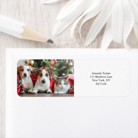 写真 ラベル (インサイチュ)