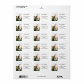 写真  ラベル (フルシート)